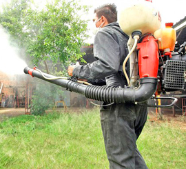fumigacion en peru